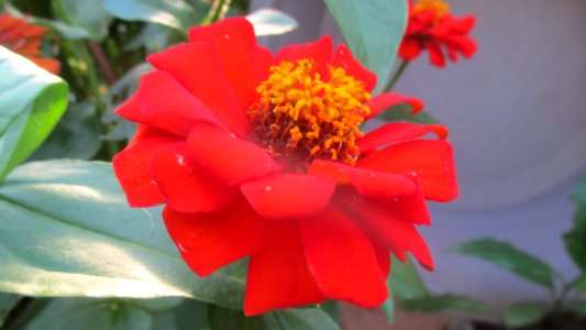 Imagem 015
