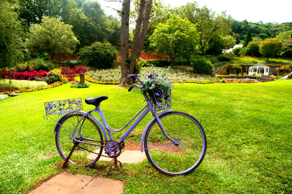 Renato Soares Le Jardin Parque das Lavandas RS