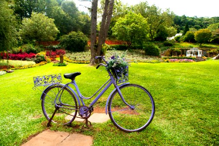 Renato Soares Le Jardin Parque das Lavandas RS