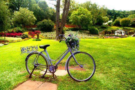 Renato Soares Le Jardin Parque das Lavandas RS photo