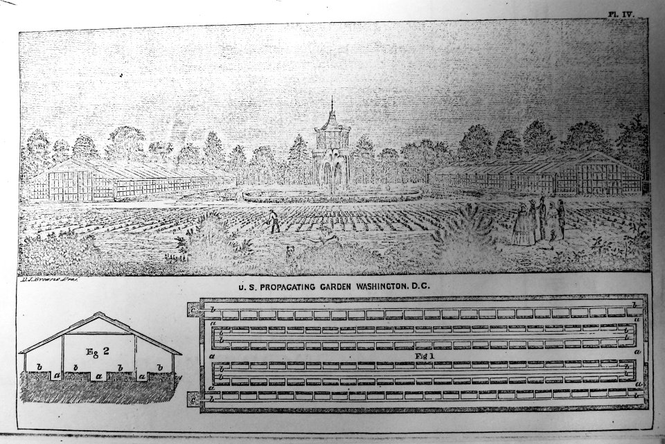 1858 Annual Report Plates USDA Research NAL 11.4 (43)