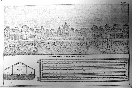 1858 Annual Report Plates USDA Research NAL 11.4 (43)