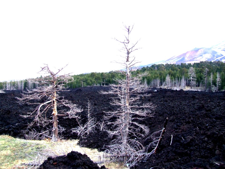 Etna-Volcano-Sicily - Creative Commons by gnuckx