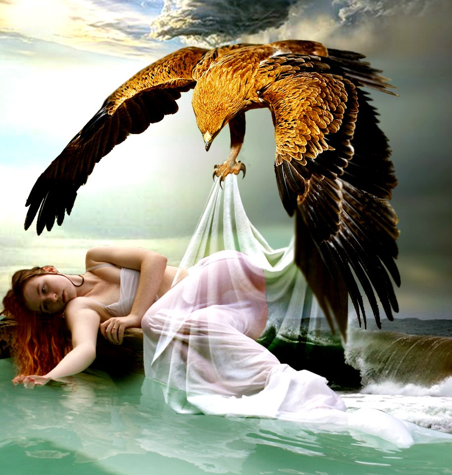 The born of Venus