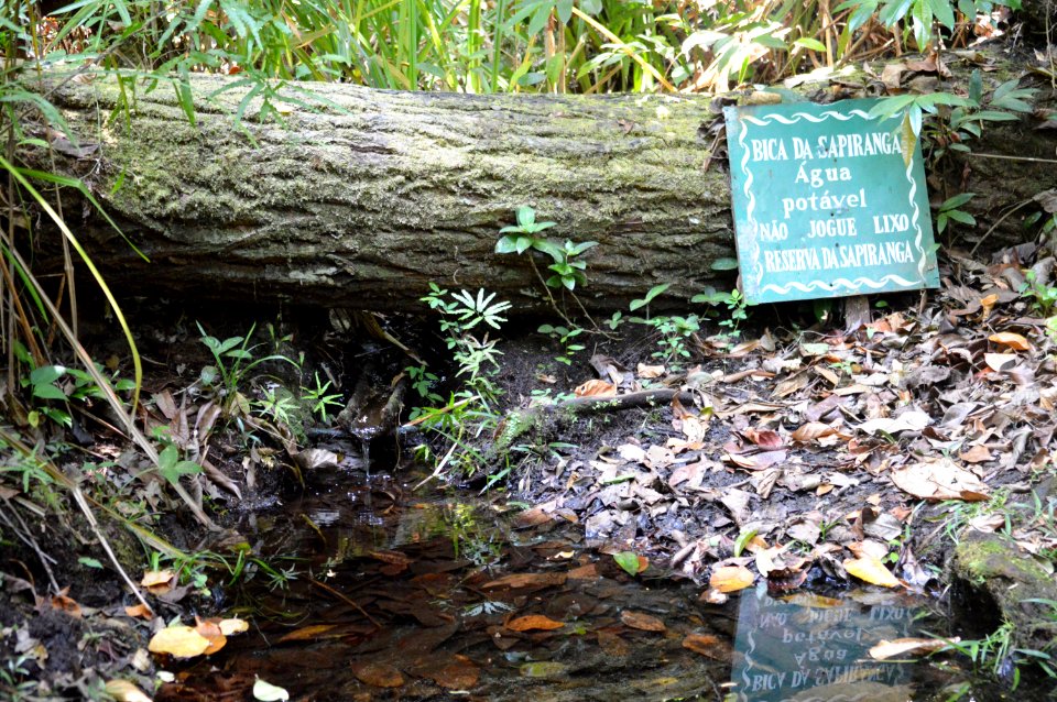 Gleidson Santos Reserva Sapiranga Mata de Sao Joao BA