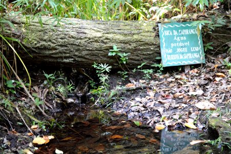Gleidson Santos Reserva Sapiranga Mata de Sao Joao BA