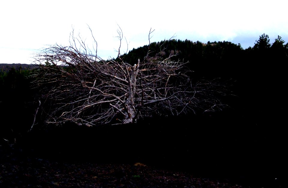 Etna-Volcano-Sicily-Italy - Creative Commons by gnuckx