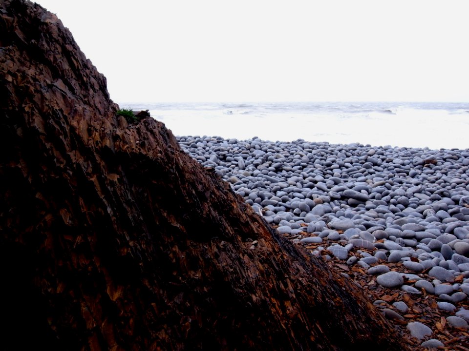 ABBOTSHAM CLIFFS - NORTH DEVON - UK (3)