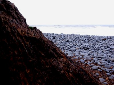 ABBOTSHAM CLIFFS - NORTH DEVON - UK (3)