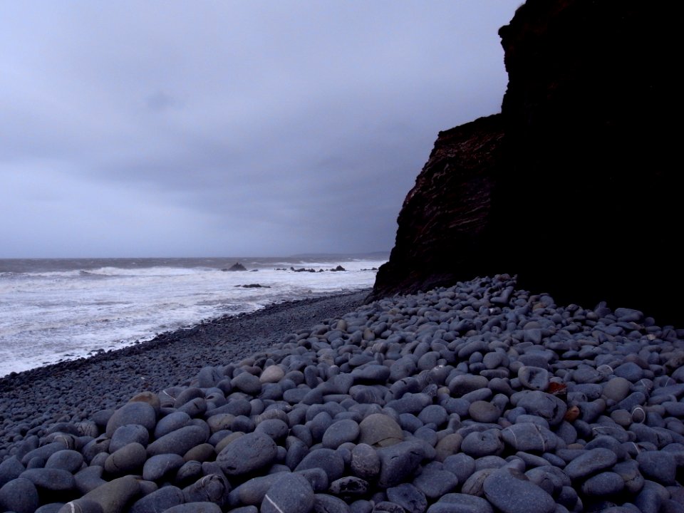ABBOTSHAM CLIFFS - WESTWARD HO! - NORTH DEVON - UK