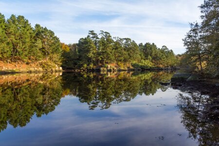 Symmetry the water reflection lake