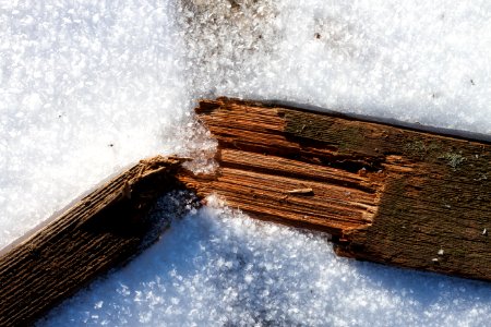 Split Wood