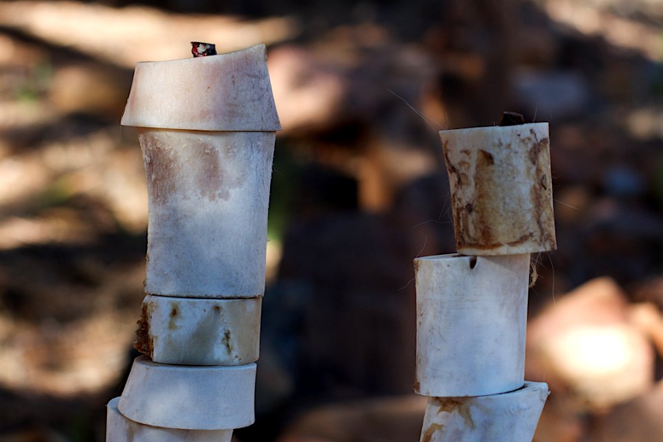 Bone Towers