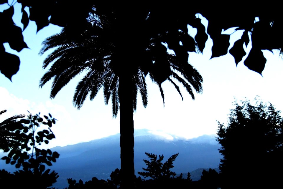 DSCF5073-Hotel San Domenico-Taormina-Sicilia-Italy-Castielli CC0 HQ
