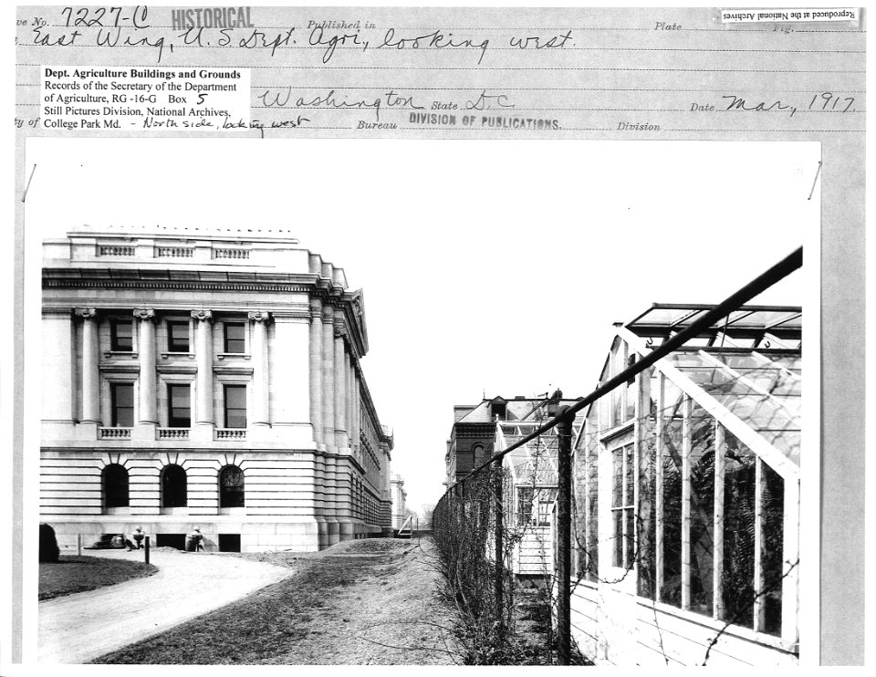 1917 (March) North side of wingw looking west NARA RG 16 G Box 5
