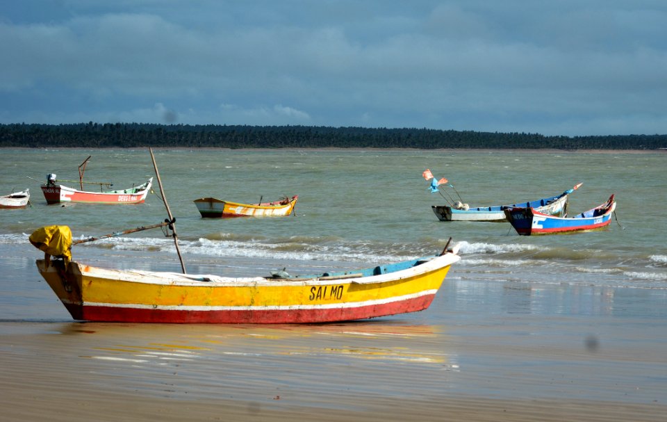 Marco Ankosqui Praia do Peba Piacabucu AL photo