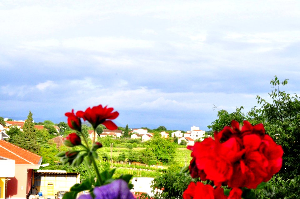 Medjugorje - Hotel Pansion Porta - Bosnia Herzegovina - Creative Commons by gnuckx