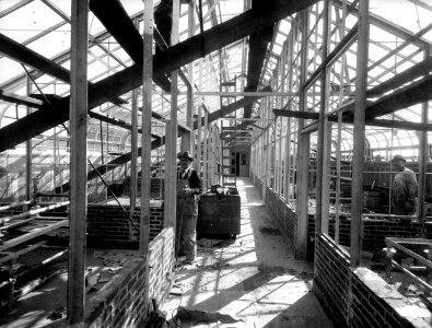 1937 (Mar 1) Const of Greenhouse on Wing No. 3 USDA Construction Photo Collection (1)