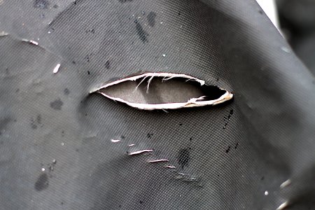Torn Eye