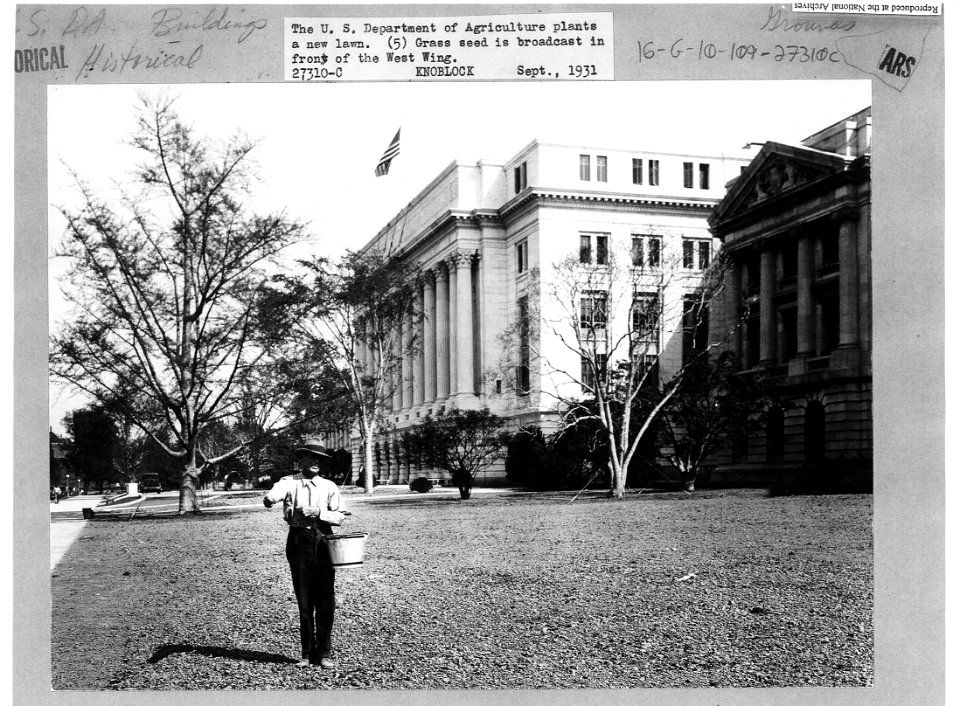 1931 (Sept) USDA plants first lawn NARAII RG 16-G Box 5 27310-C