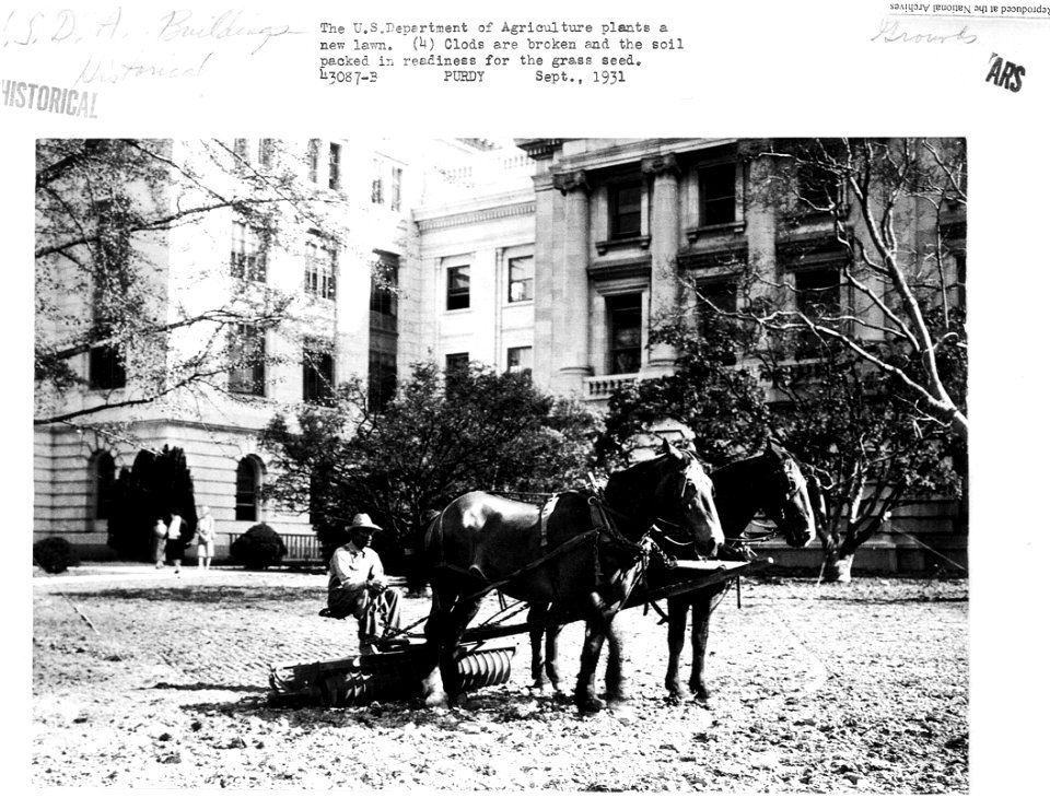 1931 (Sept) USDA plants new lawn Clods broken NARAII RG 16-G Box 4 43087-B