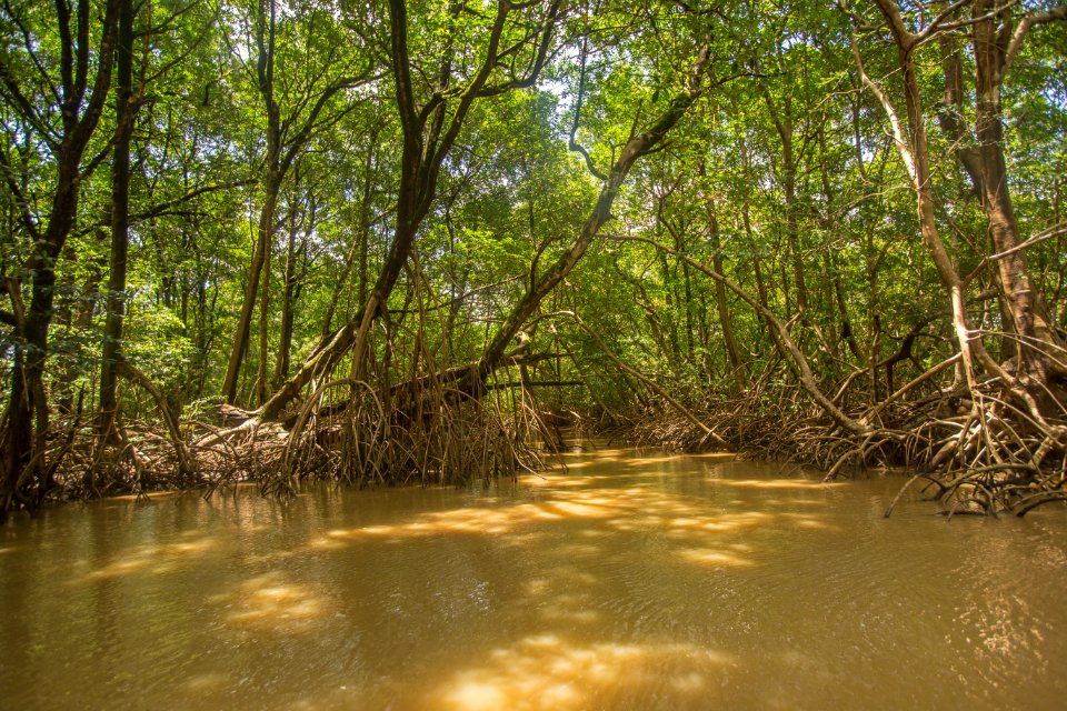 BrunaBrandao FuroDoMiguelao Salvaterra PA
