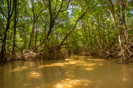 BrunaBrandao FuroDoMiguelao Salvaterra PA