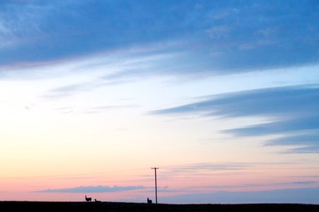 Llamas Are On the Far Horizon