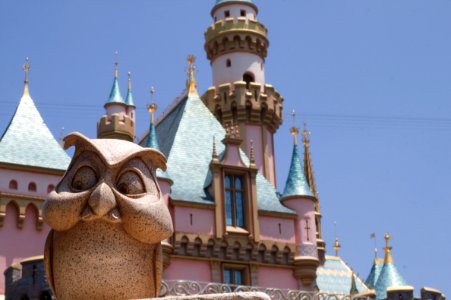 Guarding the Castle