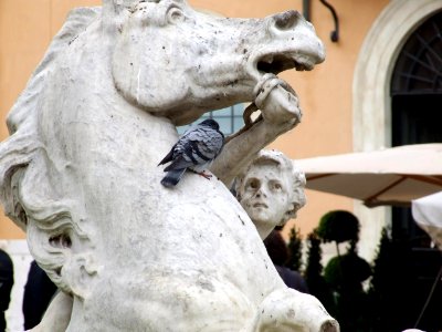 Italy Vatican - Creative Commons by gnuckx