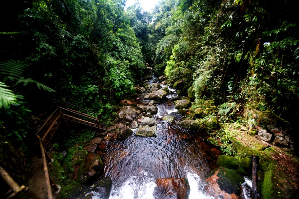DeniseRicardo Parque Nacional Serra Dos Orgaos Teresopolis RJ