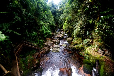 DeniseRicardo Parque Nacional Serra Dos Orgaos Teresopolis RJ photo