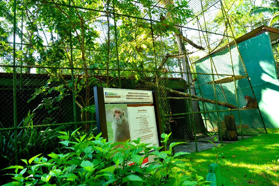 RenatoSoares Parque Leopoldo Moritz Museu Zoobotânico Brusque SC)