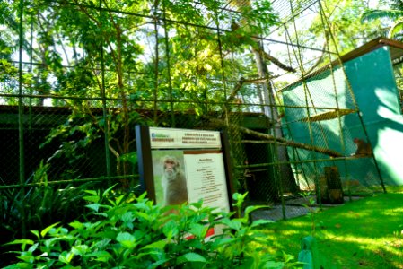 RenatoSoares Parque Leopoldo Moritz Museu Zoobotânico Brusque SC) photo