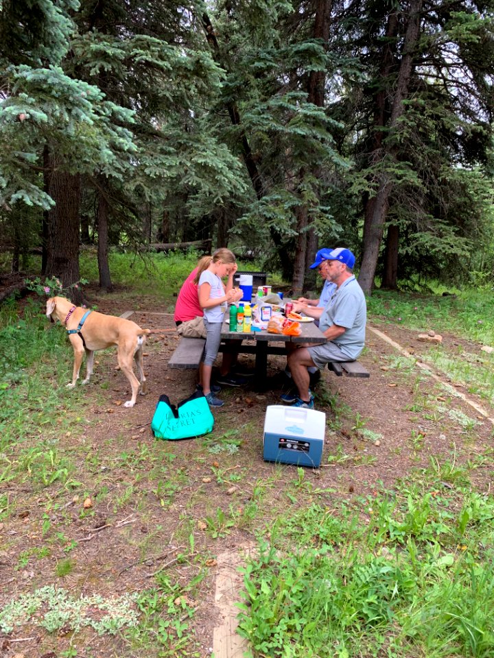 Summer2019FishCreekPicnic