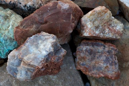 Additions to the Rock Garden