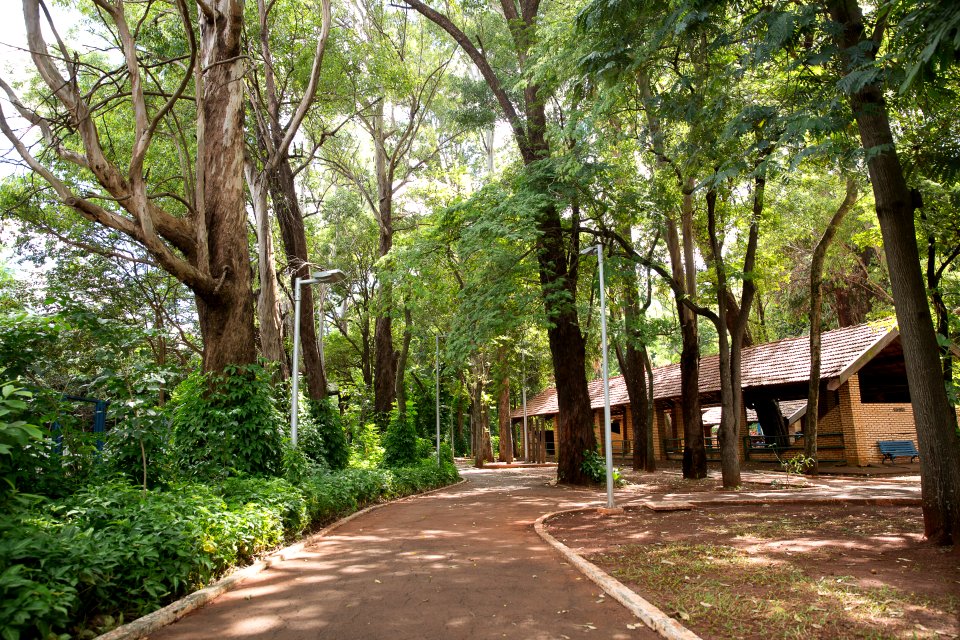 Flávio André Horto Florestal Campo Grande MS