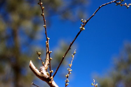 Did Someone Mention Spring?