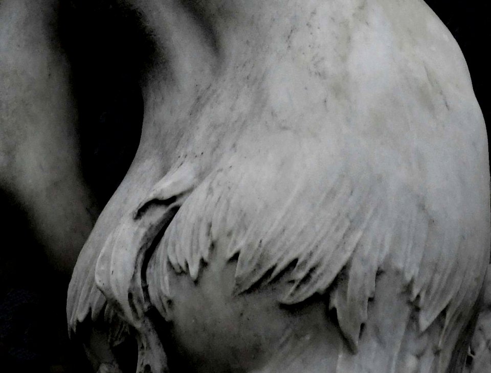 Public Domain Dedication CC0 t5202