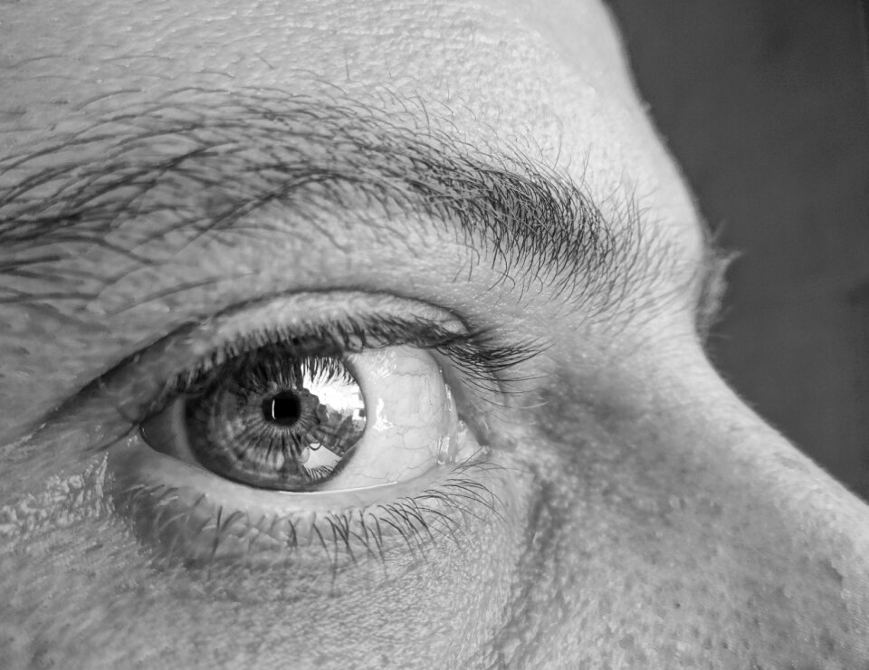 Profile black and white gray level