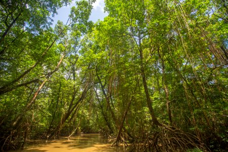 BrunaBrandao FuroDoMiguelao Salvaterra PA