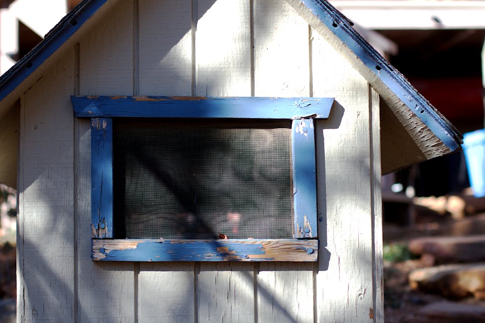 This Old Dog House