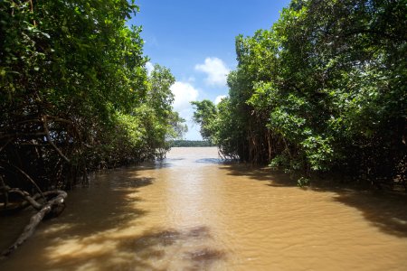 BrunaBrandao FuroDoMiguelao Salvaterra PA