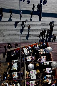 Reflections in Action