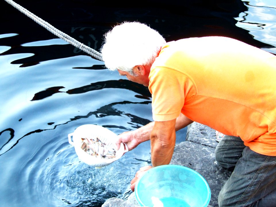 Porto Ulisse-Ognina-Catania-Sicilia-Italy - Creative Commons by gnuckx