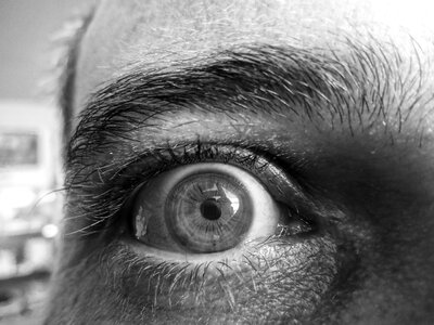 Picture visual grey