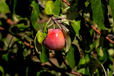 20190911-OPPE-LSC-0816