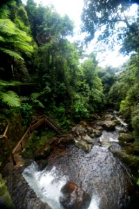 DeniseRicardo Parque Nacional Serra Dos Orgaos Teresopolis RJ photo