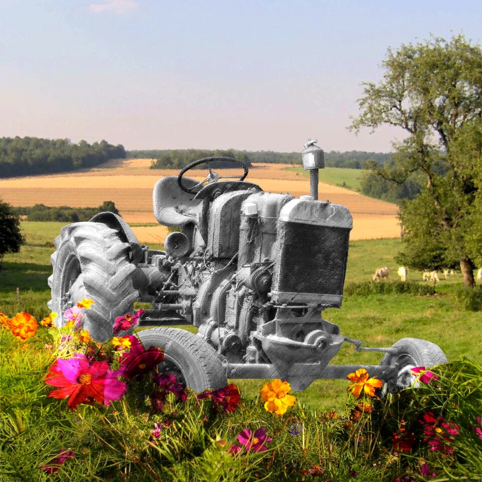 Tractor photomontage flowers