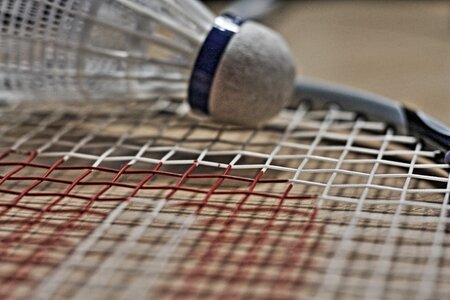 Leisure ball recreational sports